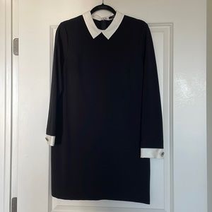 Cynthia Steffe black and white collared dress, 8